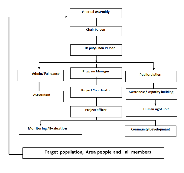 CDF - Organizational Structure